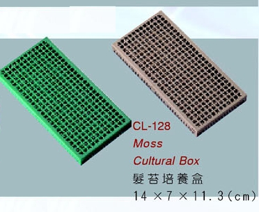 CULTURAL BOX